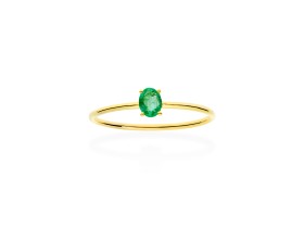 Ring in 18kt. Gold