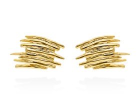 Earrings Line  in golden silver
