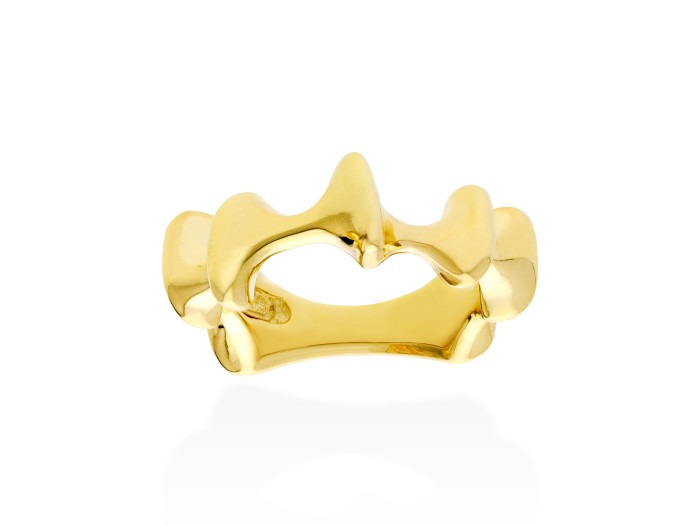 Anillo de plata