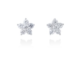 Pendientes de plata fflor