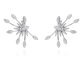 Pendientes de plata trepador