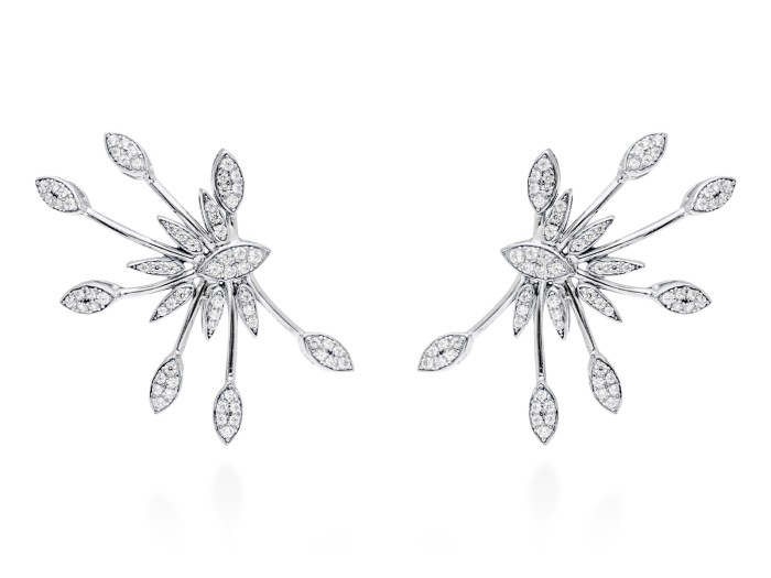 Pendientes de plata trepador