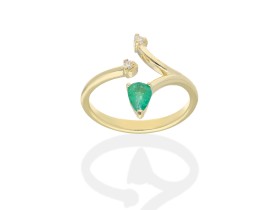 Ring   in 18kt yellow Gold and diamonds